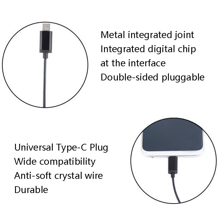 2 PCS TS1812 Type-C Plug In-Ear Digital Wired Earphone With Mic(Black) - Type-C Earphone by PMC TechLife | Online Shopping South Africa | PMC TechLife