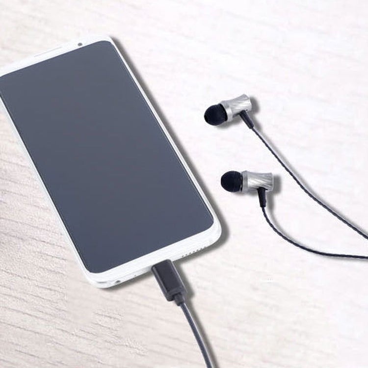 2 PCS TS1812 Type-C Plug In-Ear Digital Wired Earphone With Mic(Black) - Type-C Earphone by PMC TechLife | Online Shopping South Africa | PMC TechLife