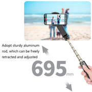 Removable Fill Light Phone Handheld Stabilizer with APP(Q09 Black)