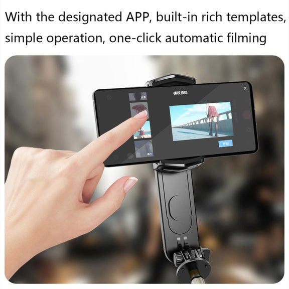 Removable Fill Light Phone Handheld Stabilizer with APP(Q09 Black)