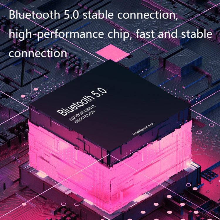 DS813 Live Wireless Bluetooth Microphone(Black)