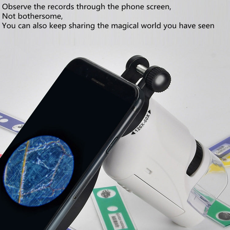Children Handheld Portable Laboratory Equipment Microscope Toys, Colour: Lite + Specimen (White)