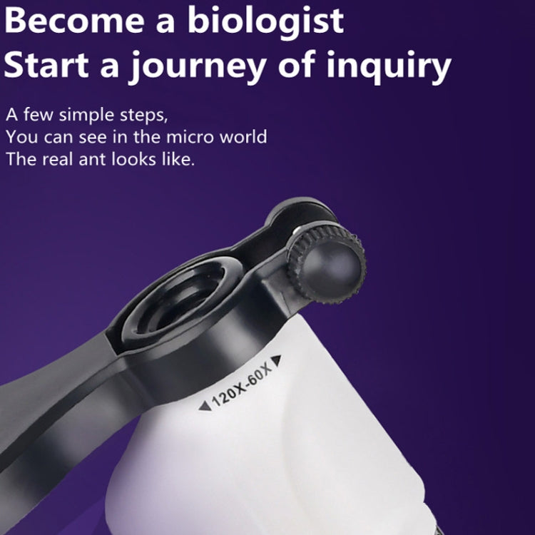 Children Handheld Portable Laboratory Equipment Microscope Toys, Colour: Lite + Specimen (White) - Digital Microscope by PMC TechLife | Online Shopping South Africa | PMC TechLife | Buy Now Pay Later Mobicred