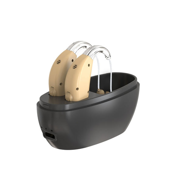 Elderly Use Can Charge Sound Amplifier Hearing Aid, Specification: US Plug(Skin Color Double Machine+Black Charging Bin)