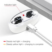 Magnetic Charge Dual-unit Sound Collector, Specification: EU Plug(Black)