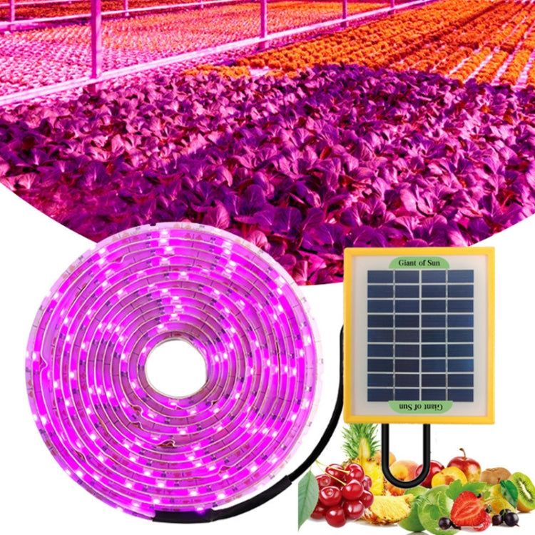 LED Full Spectrum Plant Fill Light Grow Light(Solar Panel+ 5M Lamps) - LED Grow Lights by PMC TechLife | Online Shopping South Africa | PMC TechLife