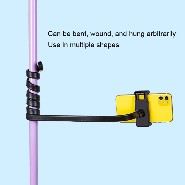 DiHao Bending Adjustment Hose Mobile Phone Live Broadcast Support(Hose+Double Hole Phone Clip) - Lazy Bracket by DiHao | Online Shopping South Africa | PMC TechLife