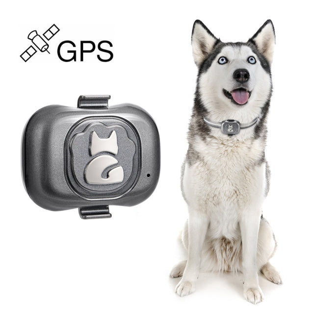 G16 Pets GPS Tracker IP67 Water-resistant Smart Collar Anti-lost Tracking for Dog Cat