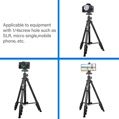 YUNTENG 6109 Camera Overhead Shot Tripod Universal Mobile Phone Live Broadcast Bracket - free shipping - PMC Jewellery - Order now!