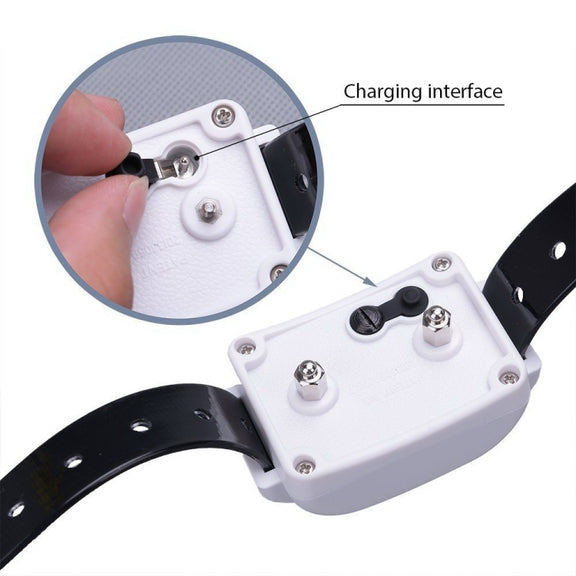 KD-661 500m Wireless Electric Dog Pet Fence Shock Collar,Spec: For Two Dog(AU Plug)