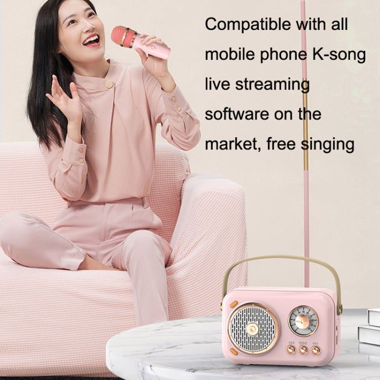 POLVCDG B152 Multi-Functional Small Family KTV Karaoke Microphone Sound Integration(Green) - Desktop Speaker by POLVCDG | Online Shopping South Africa | PMC Jewellery | Buy Now Pay Later Mobicred
