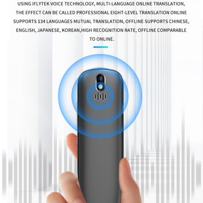 Hishell 3.5 inch Offline Photo Scanning Pen Dictionary Translation Recording Pen(S40) - free shipping - PMC Jewellery - Order now!