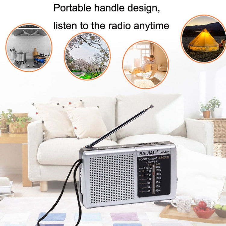 BAIJIALI BJL228 Retro Portable Two Band FM AM Radio Built-in Speaker(Black) - Radio Player by BAIJIALI | Online Shopping South Africa | PMC Jewellery | Buy Now Pay Later Mobicred