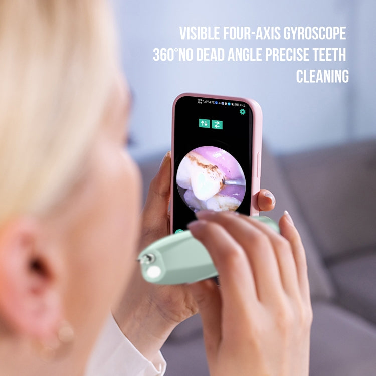 FY-B700 Visual Ultrasonic Scaler Tartar Calculus Tooth Stain Remover Dental Beauty Instrument(Blue Gradient)