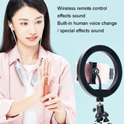 SN-537K 5.3 Bluetooth Live Earphones Built-In Sound Card Wireless Receiver Sports Earphones(Black)