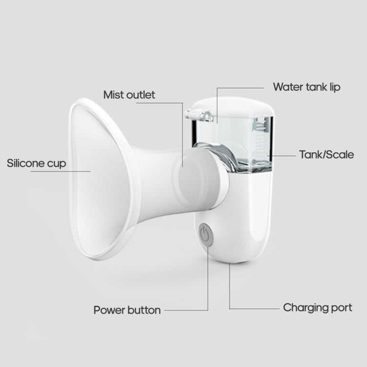 Rechargeable Eye Sprayer Mini Face Steamer Humidifier with Fine Mist(Green)