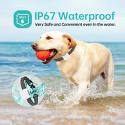 Pet Training Smart Bark Stopper Water-resistant Vibration Collar(Black)
