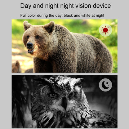 APEXEL 3-inch LCD HD Screen Photo Video Portable Binoculars Digital Infrared Night Vision Device(APL-NV009) - free shipping - PMC Jewellery - Order now!