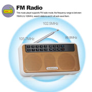 Rolton E500 Bluetooth Speaker 2.1-Channel Built-In Microphone Supports FM Radio(Blue)