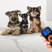 Smart Electronic Remote Control Dog Training Device Water-resistant Pets Bark Stopper, Size: For-Two-Dog(Orange)