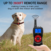 Smart Electronic Remote Control Dog Training Device Water-resistant Pets Bark Stopper, Size: For-Two-Dog(Orange)