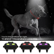 Smart Electronic Remote Control Dog Training Device Water-resistant Pets Bark Stopper, Size: For-Two-Dog(Orange)