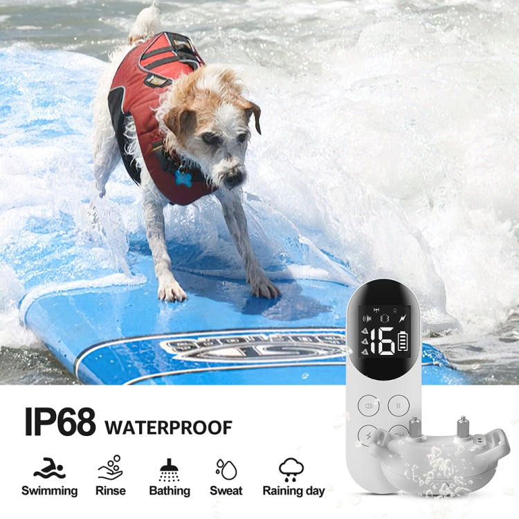 Smart Waterproof Shock Collar For Pets Remote Control Dog Training Device, Size: For-Two-Dog(Black) - free shipping - PMC Jewellery - Order now!