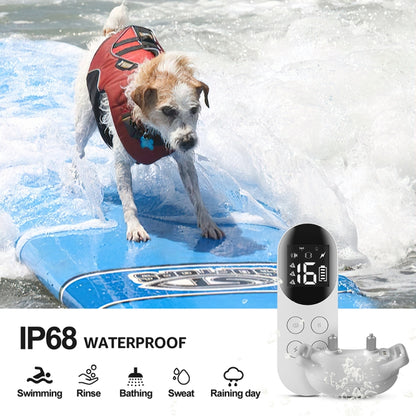 Smart Waterproof Shock Collar For Pets Remote Control Dog Training Device, Size: For-Two-Dog(Black) - free shipping - PMC Jewellery - Order now!