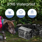 Pet Smart Electric Shock Training Water-resistant Collar Dog Training Device, Spec: Only Receiver