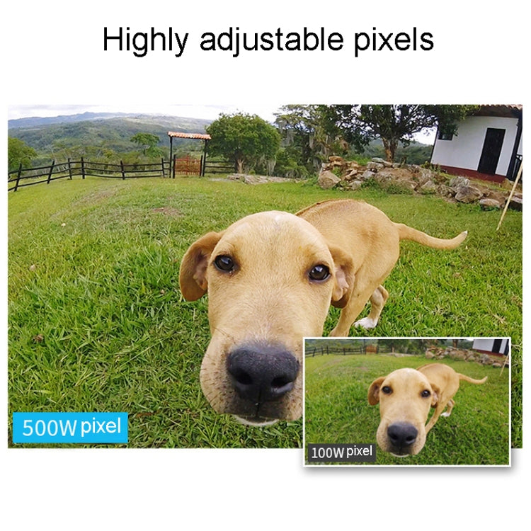 Teslong NTC125 5M 3 In 1 USB Phone Borescope For Auto Repair 500W Pixel Auto Focus - free shipping - PMC TechLife - Order now!