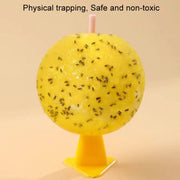8cm Fruit Fly Balls for Indoor Use Insect Trap Sticky Insect Balls(Yellow With Base+Double-side Glue)