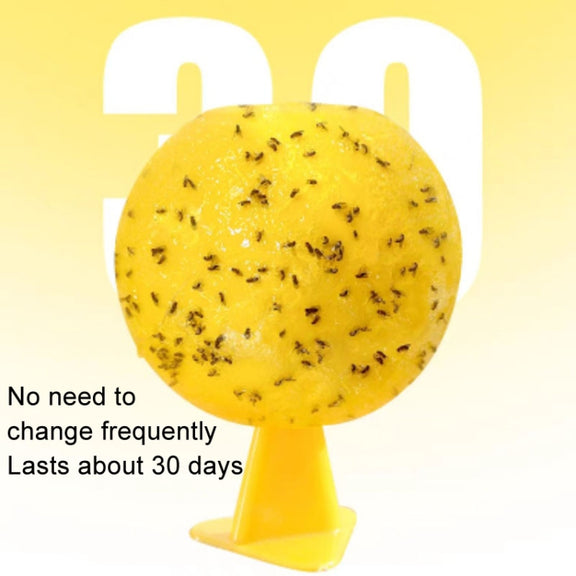 8cm Fruit Fly Balls for Indoor Use Insect Trap Sticky Insect Balls(Yellow With Base+Double-side Glue)