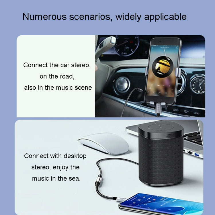 JINGHUA Type-C To 3.5mm Audio Adapter Cable Type-C Headphone Adapter Cable(Digital Model) - Type-C Adapter by JINGHUA | Online Shopping South Africa | PMC TechLife | Buy Now Pay Later Mobicred