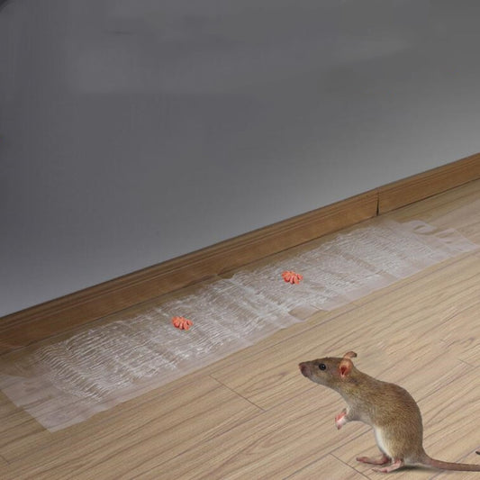 Anti-rodent Strong Sticky Board Transparent Sticky Mouse with Mousetrap Glue - free shipping - PMC Jewellery - Order now!
