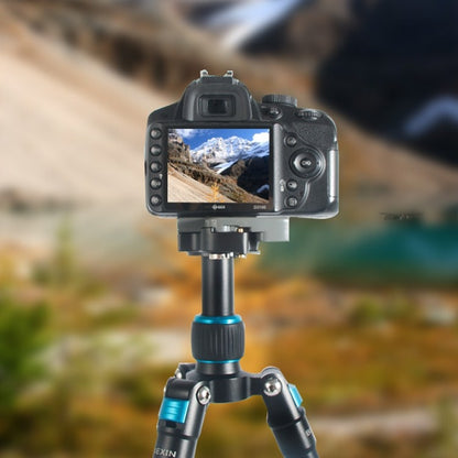 BEXIN Tripod Head Quick Release Plate Holder For Manfrotto 200PL-14(Black) - free shipping - PMC Jewellery - Order now!